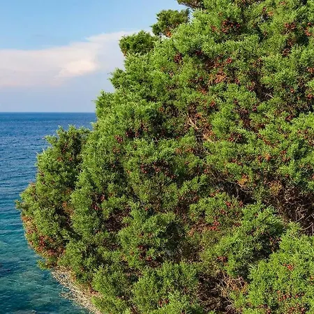 Villino Delia-infinityholidays Semesterbostad Costa Paradiso